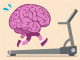 How to exercise the brain