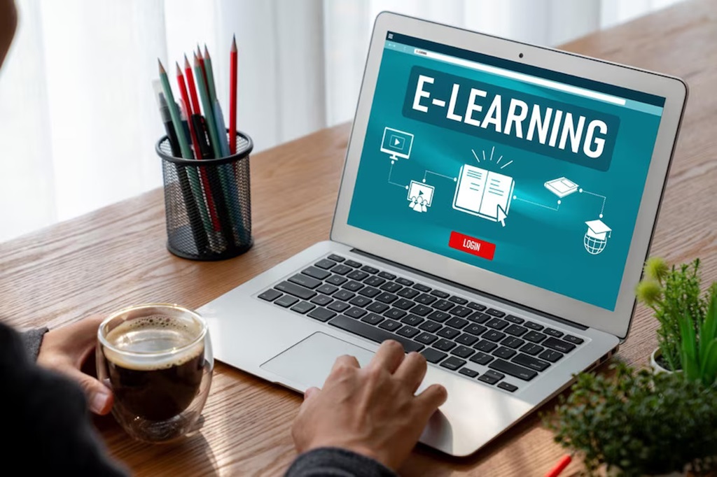 What Role Does a Project Manager in an E-learning Program Play?