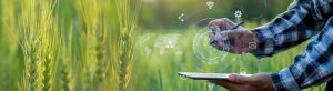 How Technology Enhances Rural Life